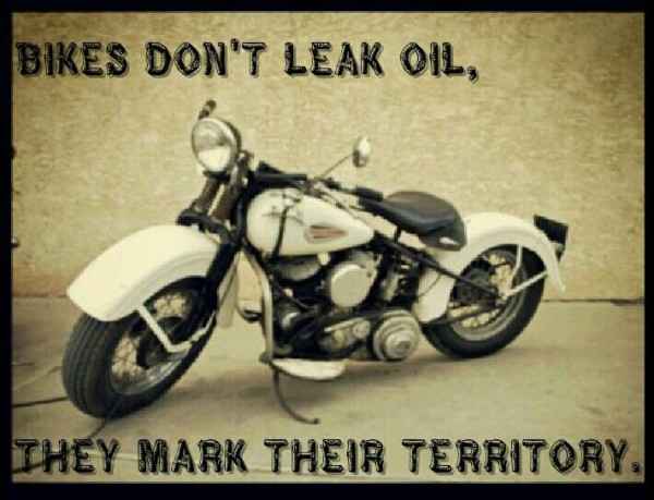 Motorcycle-Quotes-e1452430391767