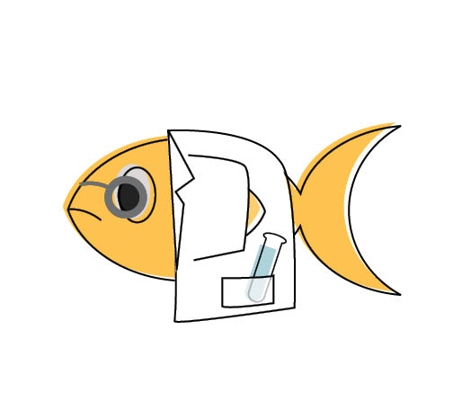 רענן כרמיאלי